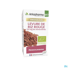 Charger l'image dans la galerie, mediPimId:341617:1728634629
