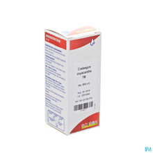 Afbeelding in Gallery-weergave laden, mediPimId:58863:1728460989

