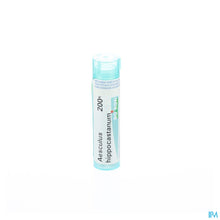 Afbeelding in Gallery-weergave laden, mediPimId:37712:1728458694

