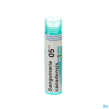 Afbeelding in Gallery-weergave laden, mediPimId:72738:1728462592

