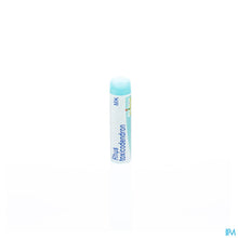 Afbeelding in Gallery-weergave laden, mediPimId:37553:1728458676
