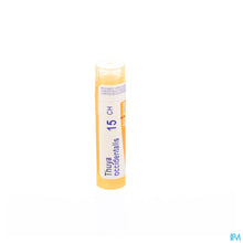 Charger l'image dans la galerie, mediPimId:37817:1728458708
