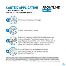 Charger l'image dans la galerie, mediPimId:227668:1728553097
