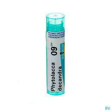 Afbeelding in Gallery-weergave laden, mediPimId:81613:1728463901
