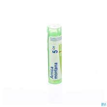 Charger l'image dans la galerie, mediPimId:43086:1728459100
