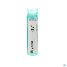 Afbeelding in Gallery-weergave laden, mediPimId:65462:1728461694
