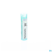 Afbeelding in Gallery-weergave laden, mediPimId:37835:1728458711
