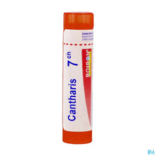 Afbeelding in Gallery-weergave laden, mediPimId:210575:1728550403
