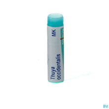 Load image into Gallery viewer, mediPimId:80309:1728463735
