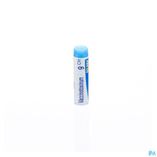 Afbeelding in Gallery-weergave laden, mediPimId:43003:1752781825
