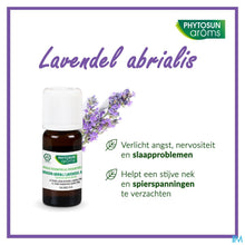 Afbeelding in Gallery-weergave laden, mediPimId:256004:1728557142
