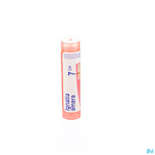 Charger l'image dans la galerie, mediPimId:37744:1728458698
