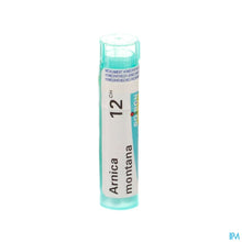 Afbeelding in Gallery-weergave laden, mediPimId:65409:1728461688
