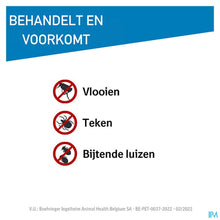 Charger l'image dans la galerie, mediPimId:292292:1728561759
