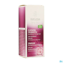 Afbeelding in Gallery-weergave laden, mediPimId:105134:1728466254
