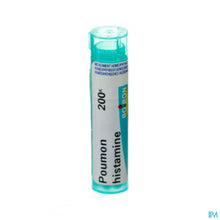 Afbeelding in Gallery-weergave laden, mediPimId:80186:1728463722
