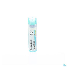 Afbeelding in Gallery-weergave laden, mediPimId:37685:1728458690
