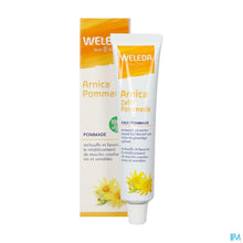 Afbeelding in Gallery-weergave laden, mediPimId:361484:1730971235
