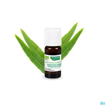 Afbeelding in Gallery-weergave laden, mediPimId:255914:1728557125
