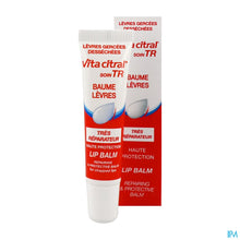 Charger l'image dans la galerie, mediPimId:282150:1728560505
