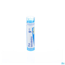 Afbeelding in Gallery-weergave laden, mediPimId:37800:1728458706
