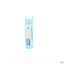 Afbeelding in Gallery-weergave laden, mediPimId:37748:1728458698
