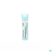Afbeelding in Gallery-weergave laden, mediPimId:37776:1728458702
