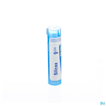 Charger l'image dans la galerie, mediPimId:42819:1728459077
