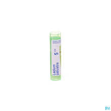 Charger l'image dans la galerie, mediPimId:57665:1728460859
