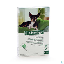 Charger l'image dans la galerie, mediPimId:7701:1728392940
