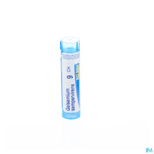 Charger l'image dans la galerie, mediPimId:37732:1728458696
