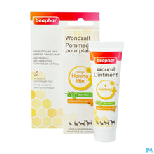 Afbeelding in Gallery-weergave laden, mediPimId:249259:1728556369
