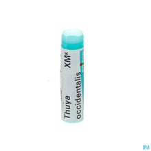 Charger l'image dans la galerie, mediPimId:65225:1728461664
