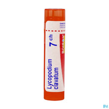 Afbeelding in Gallery-weergave laden, mediPimId:210641:1728550409

