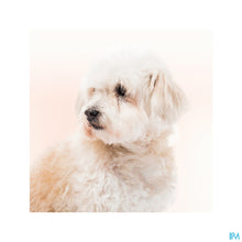 Load image into Gallery viewer, mediPimId:656287:1784020061
