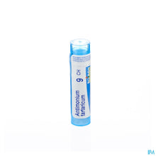 Charger l'image dans la galerie, mediPimId:43132:1728459105

