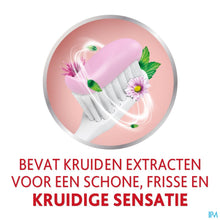 Afbeelding in Gallery-weergave laden, mediPimId:605944:1766500453
