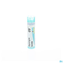 Afbeelding in Gallery-weergave laden, mediPimId:37903:1728458714
