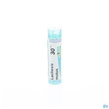 Afbeelding in Gallery-weergave laden, mediPimId:37866:1752779763
