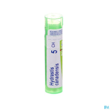 Afbeelding in Gallery-weergave laden, mediPimId:65439:1728461692
