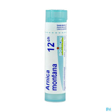 Afbeelding in Gallery-weergave laden, mediPimId:212472:1728550690
