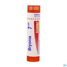 Afbeelding in Gallery-weergave laden, mediPimId:210562:1728550402
