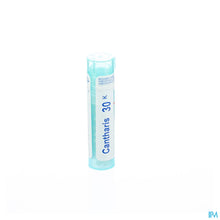 Afbeelding in Gallery-weergave laden, mediPimId:37781:1728458703
