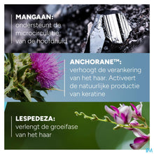 Afbeelding in Gallery-weergave laden, mediPimId:572659:1752050301
