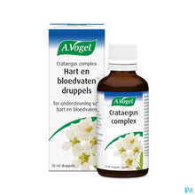 Afbeelding in Gallery-weergave laden, mediPimId:223673:1728552463
