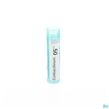 Charger l'image dans la galerie, mediPimId:37931:1728458718
