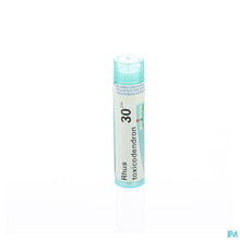 Afbeelding in Gallery-weergave laden, mediPimId:42807:1728459075
