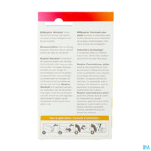 Afbeelding in Gallery-weergave laden, mediPimId:249253:1728556368
