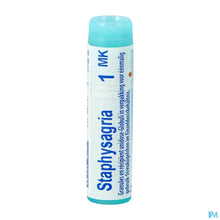 Charger l'image dans la galerie, mediPimId:290474:1728561478

