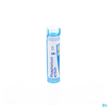 Afbeelding in Gallery-weergave laden, mediPimId:37709:1728458693
